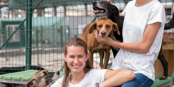 The Insider’s Guide to Sydney Dog Adoption Centres